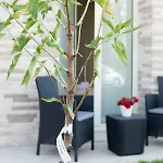 Гостевой дом Relais Dei Mandorli 4*