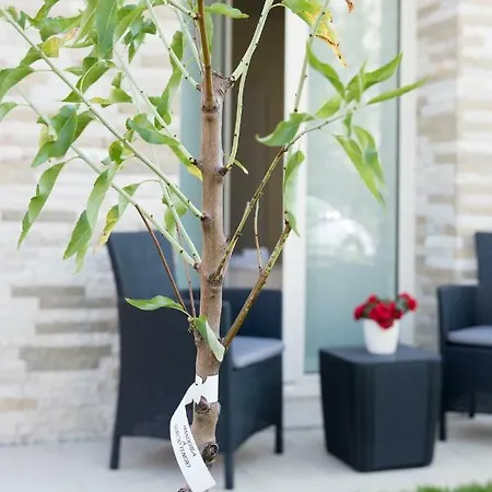 בית הארחה Relais Dei Mandorli 4*